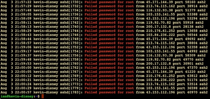 Screenshot of terminal output full of lines saying &ldquo;Failed password for root&rdquo;
